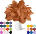 NEWONG 30pcs Brown Ostrich Feathers Natural Bulk 8-10in（20-25cm） Vase Craft by NEWONG