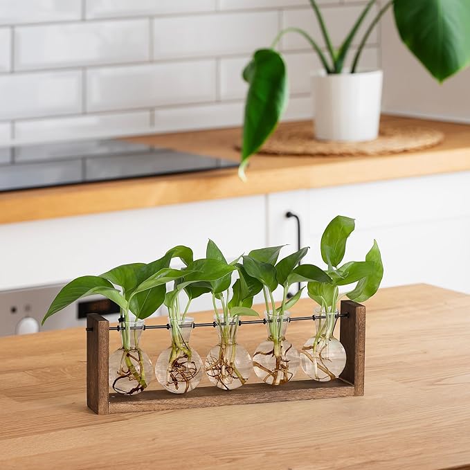YIBOT Plants Propagation Stations, Plant Terrarium - Image 5