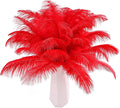 THARAHT Red Ostrich Feathers 24pcs Natural Bulk 10-12Inch 25cm-30cm by THARAHT
