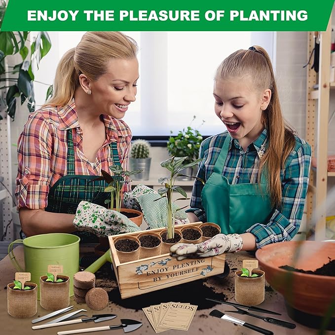 Bonsai Tree Starter Kit, Indoor Bonsai Tree Kit Meeting Planting and Caring - Image 2