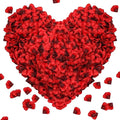 1000Pieces Rose Petals, Artificial Flower Petals Fake Rose Petals by Pyrrhiax