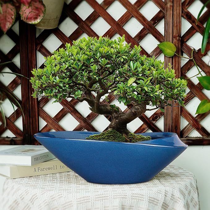 Bonsai Pot - 18 Inch Ceramic Planter - Image 5