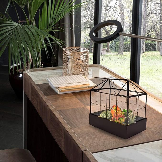 Large Tall Plant Terrarium Glass Greenhouse - Image 9