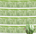 4 Pack 10 Feet Light Green Foil Fringe Garland Metallic Tinsel Streamers Banner by Ferwzsr