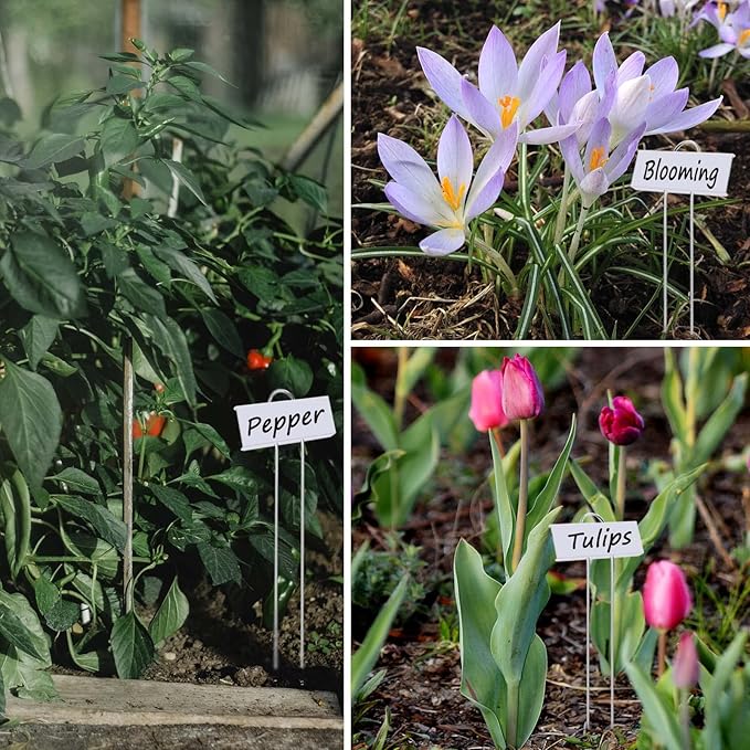 30pcs Plant Labels for Outdoor Garden Waterproof Plant Markers for Outdoor - Image 6