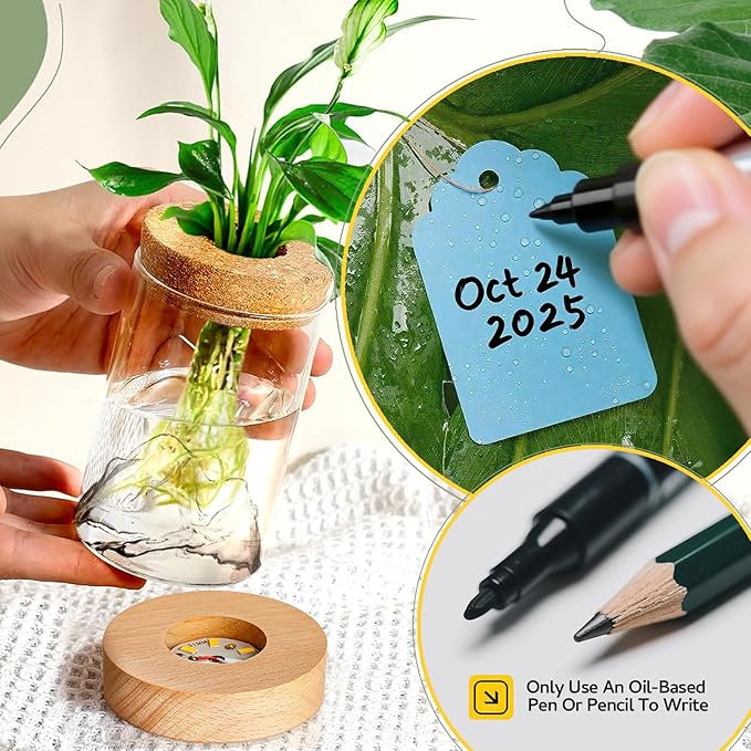 2Pcs Plant Propagation Station - Image 7
