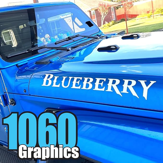 Custom Vinyl Lettering for Car, Windshield, Vinyl Letters, Decal Sticker - Image 5