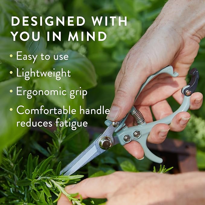 Modern Sprout Pruning Shears - Image 4