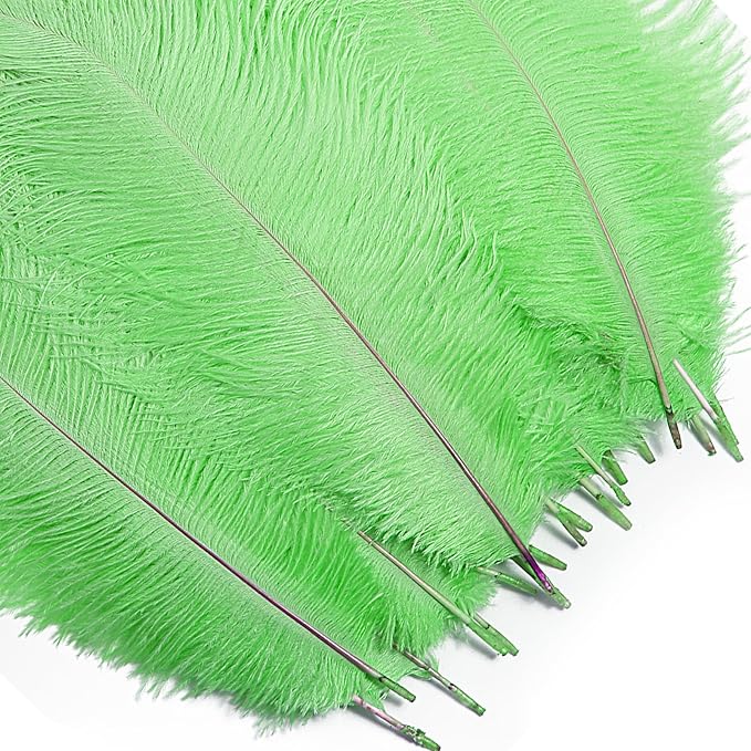 Bulk Grass Green Ostrich Feathers - Image 6