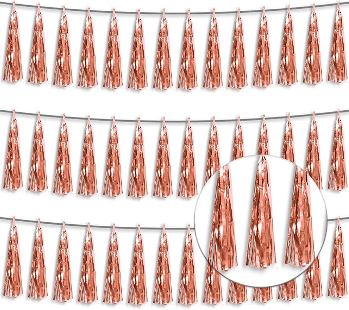 3P Metallic Fringe Tassel Banner Garland Foil Tinsel Streamer Wall Hanging by Xuuf