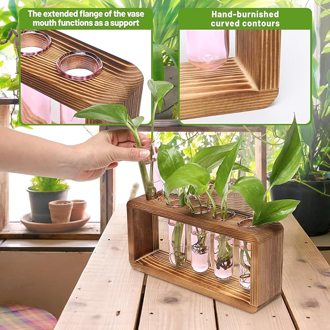 Glass Plant Propagation Station - Image 4