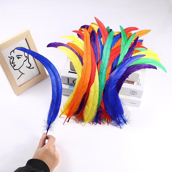 Holmgren Colorful Rooster Tail Feathers - Image 3