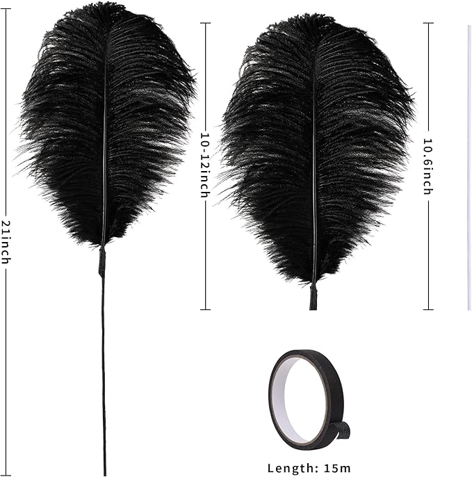 Holmgren Black Ostrich Feathers Bulk - Image 7