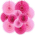 SUNBEAUTY Hanging Honeycomb Paper Fans Hot Pink Party Decorations Fuchsia Pink by SUNBEAUTY
