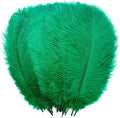YAKRUNA 30PCS Green Ostrich Feathers Bulk 12-14 Inches by YAKRUNA