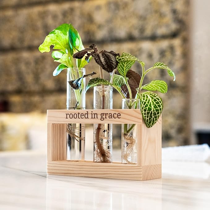 Rooted in Grace: Plant Propagation Stations: Plant Cutting Holder w/ 3 Glass - Image 9