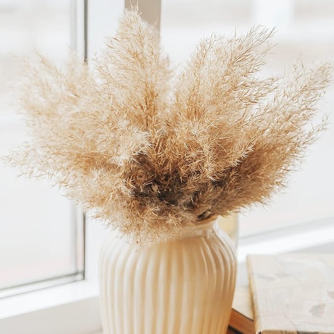 Pampas Grass Decor, Natural Dry Pampas Grass Small, Short Pampass Bulk - Image 5