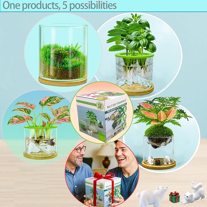 4 in 1 Plant Propagation Station Hydroponic Vase Planter Pot, Indoor Glass - Image 2