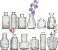 Glass Bud Vase Set of 12 Pcs Small Minimalist Vases by Tahnach