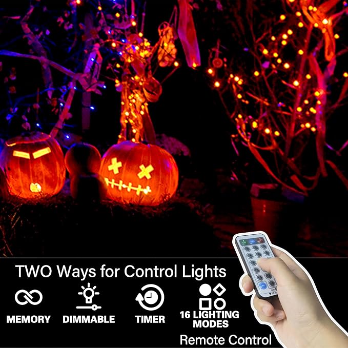 LAMPHOME 33ft Halloween Decorative Mini Lights, 100 LED Transparent Wire Fairy - Image 2