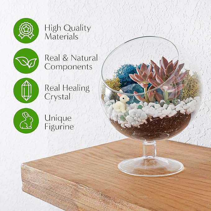 DIY Glass Plant Terrarium Kit for Adults, Metal Stand, Reindeer Moss, Tools & - Image 3