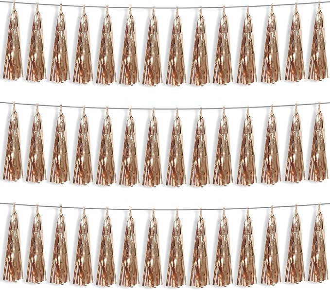 3P Champagne Gold Foil Fringe Metallic Tassel Streamers Banner Tassel Garland by HYSILLA