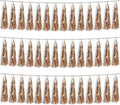 3P Champagne Gold Foil Fringe Metallic Tassel Streamers Banner Tassel Garland by HYSILLA