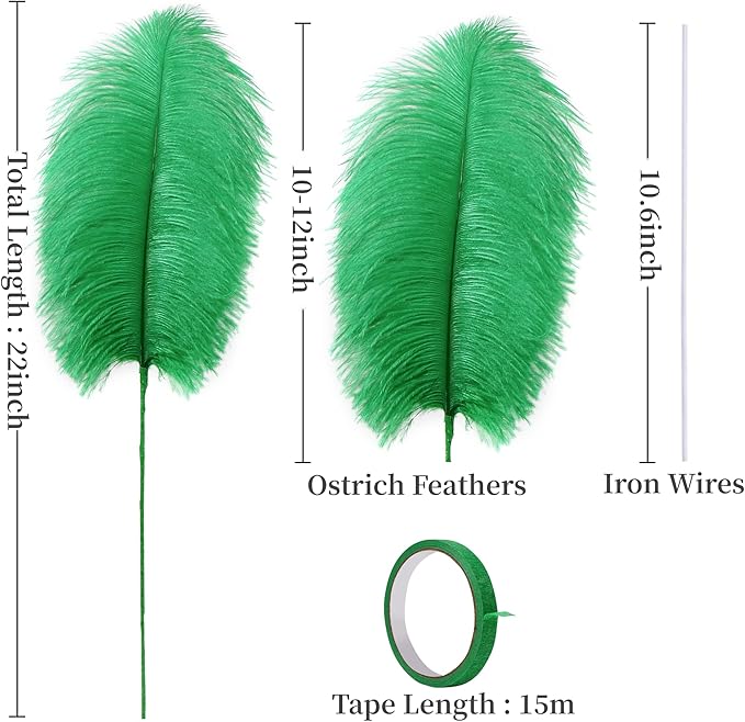 Holmgren Natural Green Ostrich Feather - Image 3