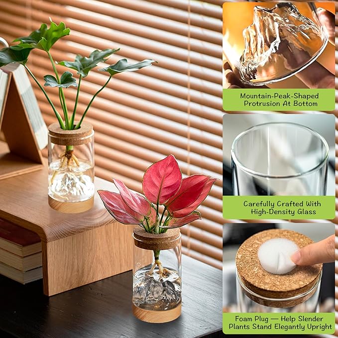 2Pcs Plant Propagation Station - Image 6
