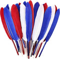 FeelfunFeather 120pcs Colorful Feathers Natural Bulk, 4-6 inch 10-15cm Red Blue by FeelFunFeather