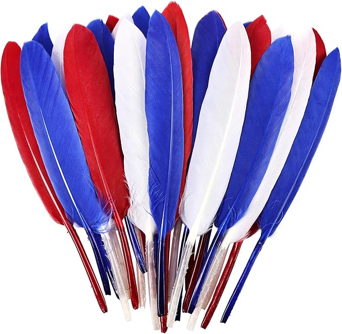 FeelfunFeather 120pcs Colorful Feathers Natural Bulk, 4-6 inch 10-15cm Red Blue by FeelFunFeather