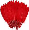 FeelfunFeather 120pcs Red Goose Cochettes Feather Natural Bulk 4-6 inch 10-15cm by FeelFunFeather