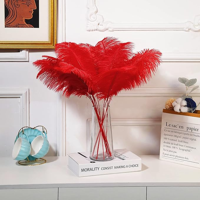 Holmgren Red Ostrich Feathers for Vase - Image 5
