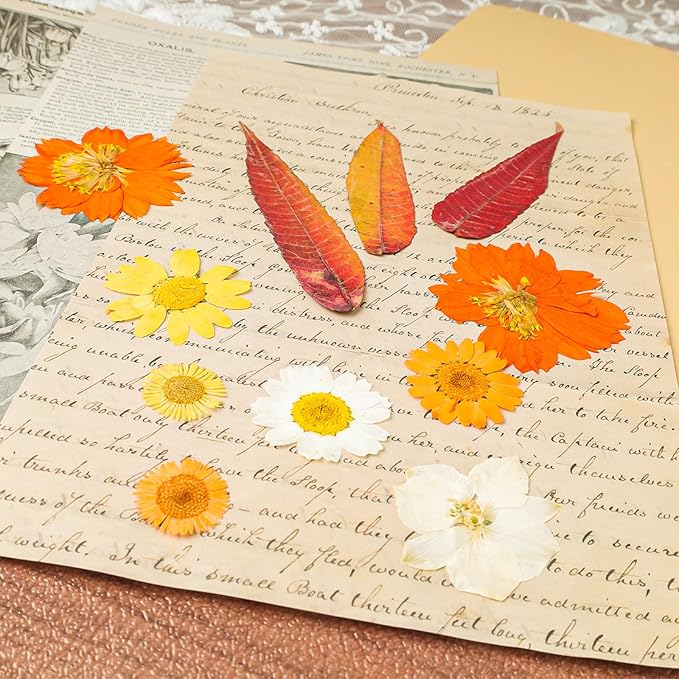 120Pcs Dried Pressed Flowers for Resin Mould Dry Flower Real Leaves Bulk - Image 6