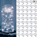 ZGWJ 50 Pack Fairy Lights Battery Operated, 7ft 20 Mini LED Fairy String Lights by ZGWJ