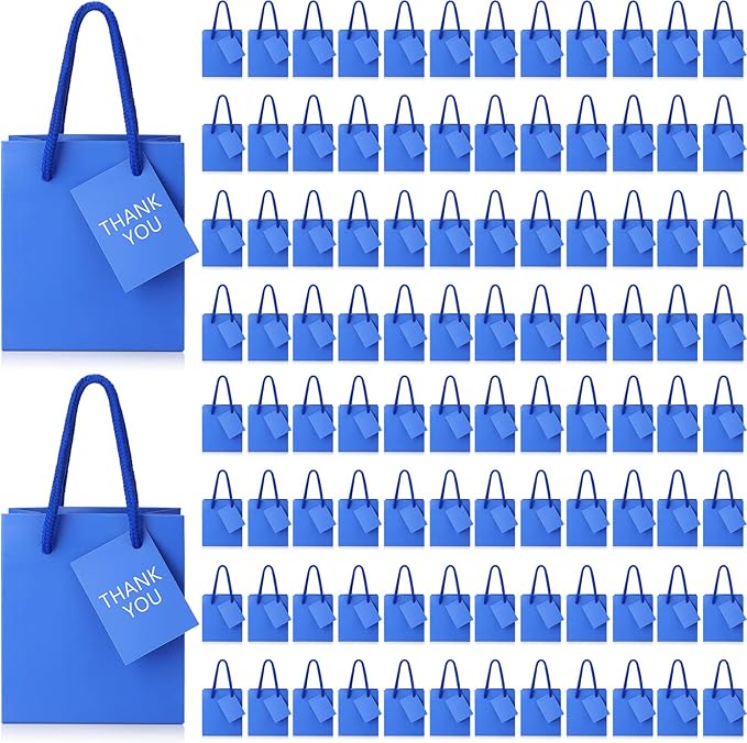 Sherr 100 Pack Mini Gift Bags Bulk, 4 x 2.75 x 4.5 Inches Paper Bags by Sherr