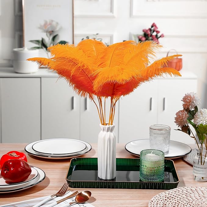Holmgren Orange Ostrich Feathers Bulk - Image 6
