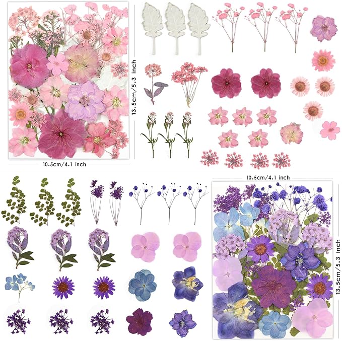 100 Pcs Dried Pressed Flowers for Crafts, Preserved & Dehydrated in - Image 2