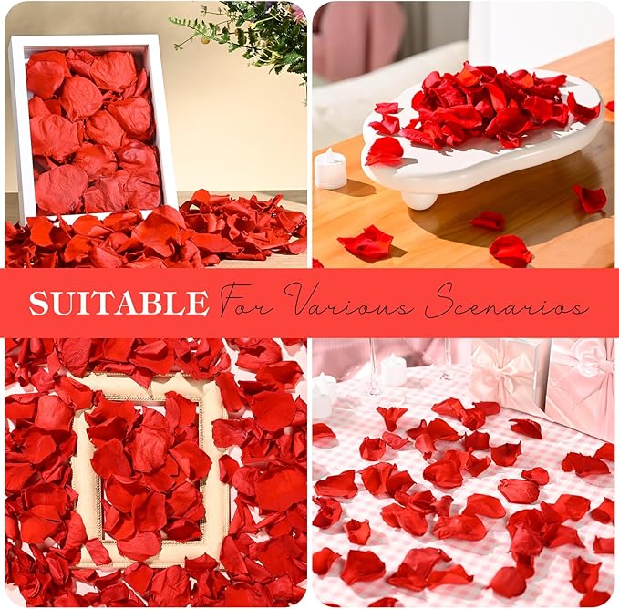 230 PCS Red Dired Rose Petals 2.1oz/60g Natural Real Rose Flower Petals - Image 7
