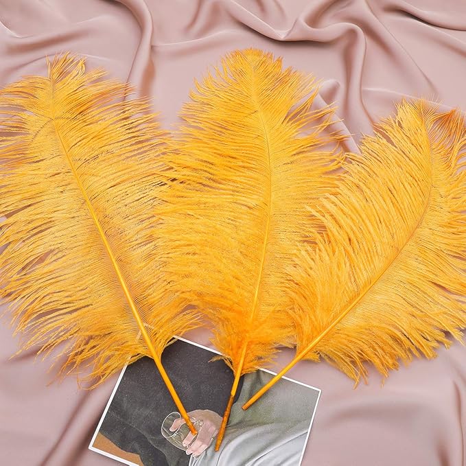 Ballinger Big Gold Ostrich Feathers - Image 8