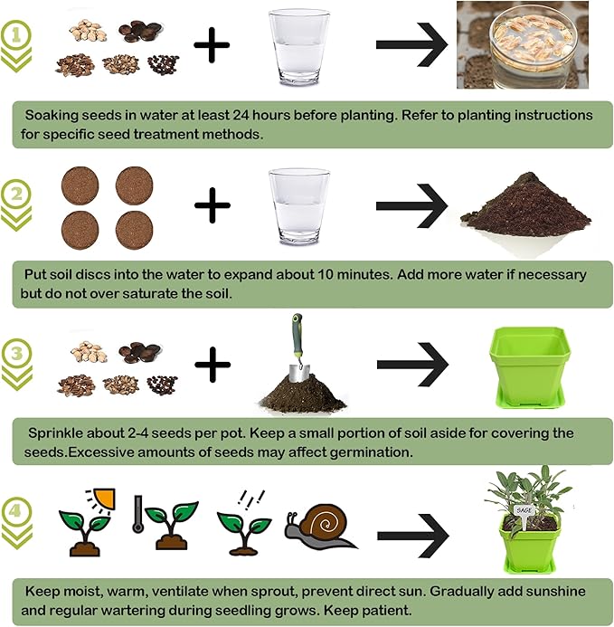 10 Herb Seeds Garden Starter Grow Kit - Image 5