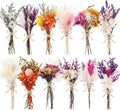 10/12/24 Pack Dried Flowers for Vase Various Mini Bouquet Dried Small by Unknown