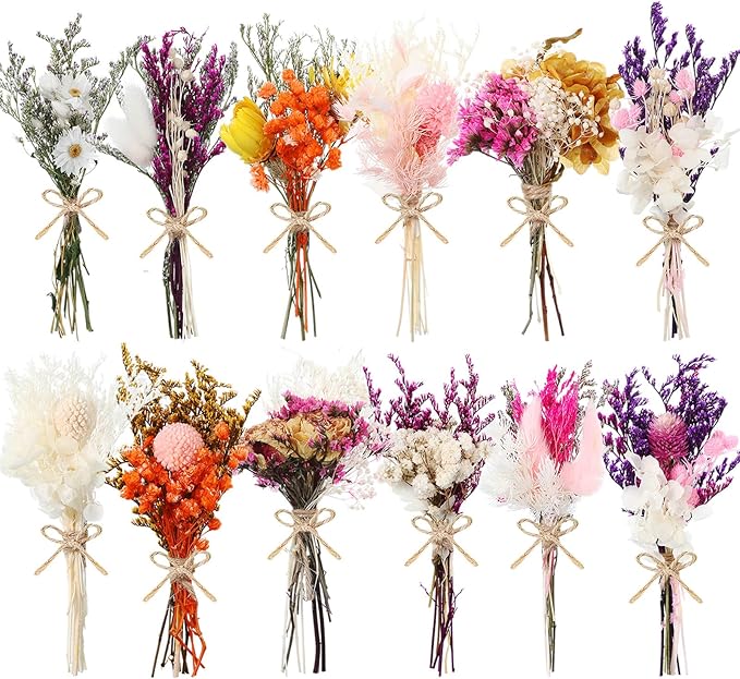 10/12/24 Pack Dried Flowers for Vase Various Mini Bouquet Dried Small by Unknown