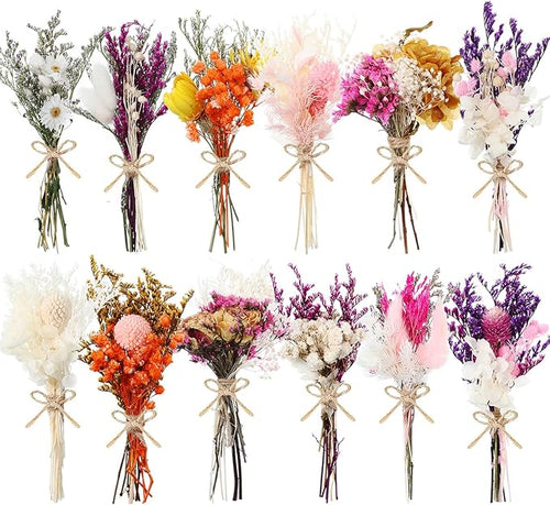 10/12/24 Pack Dried Flowers for Vase Various Mini Bouquet Dried Small by Unknown