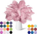 NEWONG 30pcs Peony Pink Green Ostrich Feathers Natural Bulk 11-14inch Vase by NEWONG