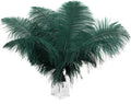 Ballinger Blackish Green Ostrich Feathers by Ballinger