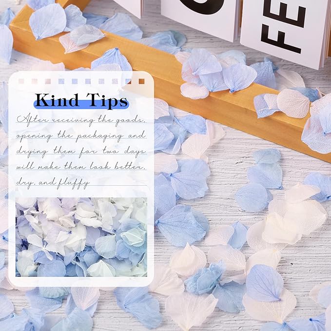 VAIPI 2500 PCS Hydrangea Petals 100% Natural Real Flower Petals - Image 3