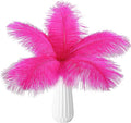THARAHT Hot Pink Ostrich Feathers 24pcs Natural Bulk 10-12Inch 25cm-30cm by THARAHT
