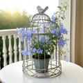 Rustic Farmhouse Metal Planter Holder Vintage Birdcage Candle Holder Distressed by Unknown