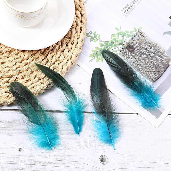 SOGUGOM Turquoise Rooster Tail Feathers - Image 6